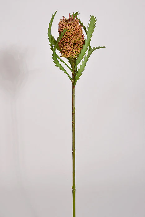 24" Banksia Spray Mauve/Green