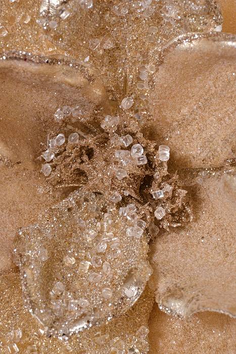 24" Beaded Ice Chunks Magnolia Stem Champagne - Image 2