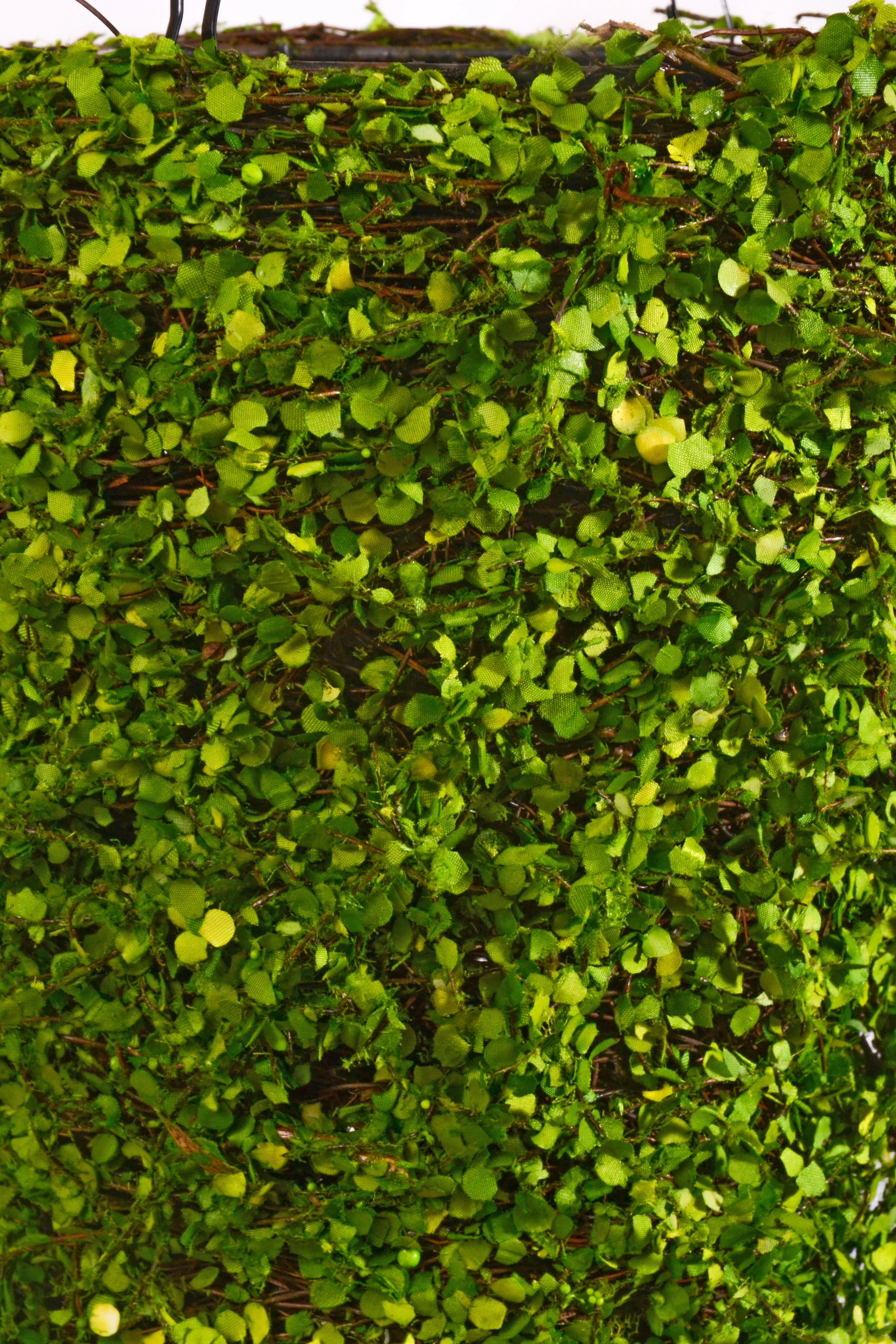 24" Cone Tree Moss Green - Image 2