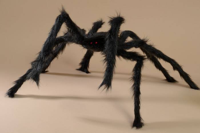 24" Halloween Decorative Spider Black - Image 2