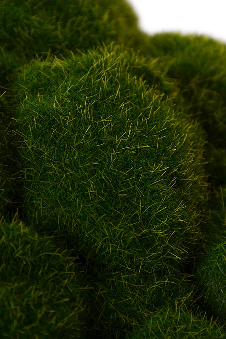24" Mood Moss Ball Green - Image 2