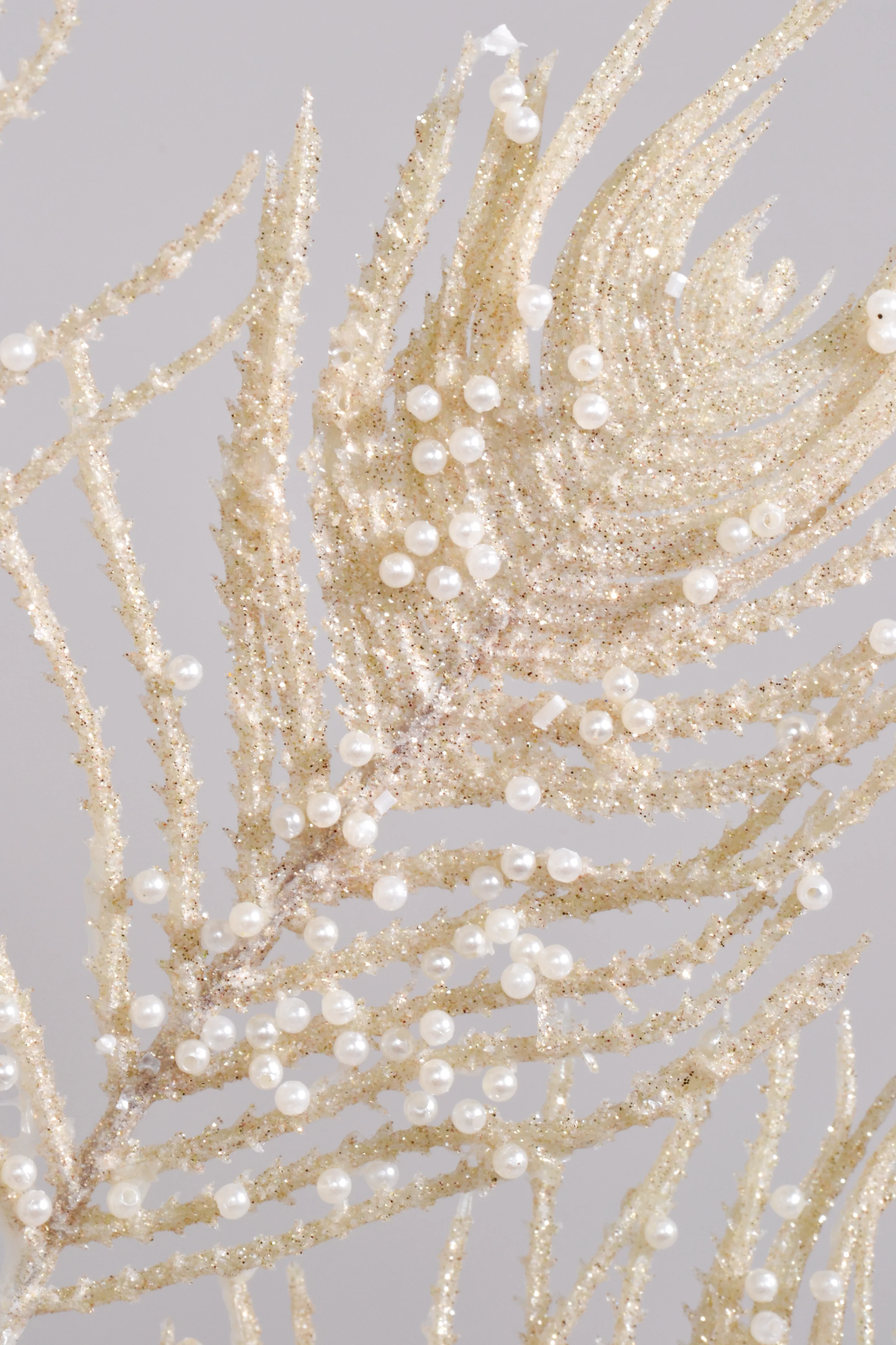24" Pearl Coral Fan Spray Pearl/White - Image 3