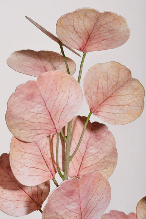 24" Real Touch Eucalyptus Pink - Image 2