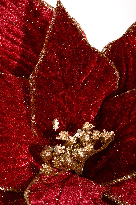 24" Rich Velvet Poinsettia Stem Burgundy - Image 2
