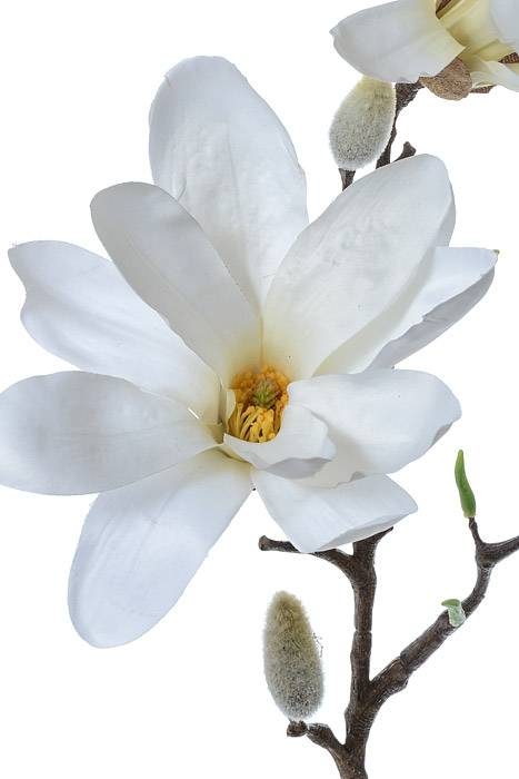 24" Silk Magnolia Spray Cream - Image 2