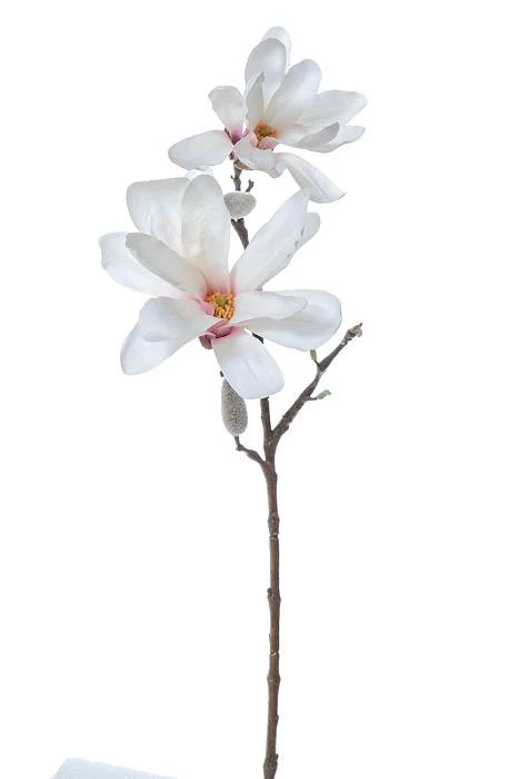 24" Silk Magnolia Spray White/Pink