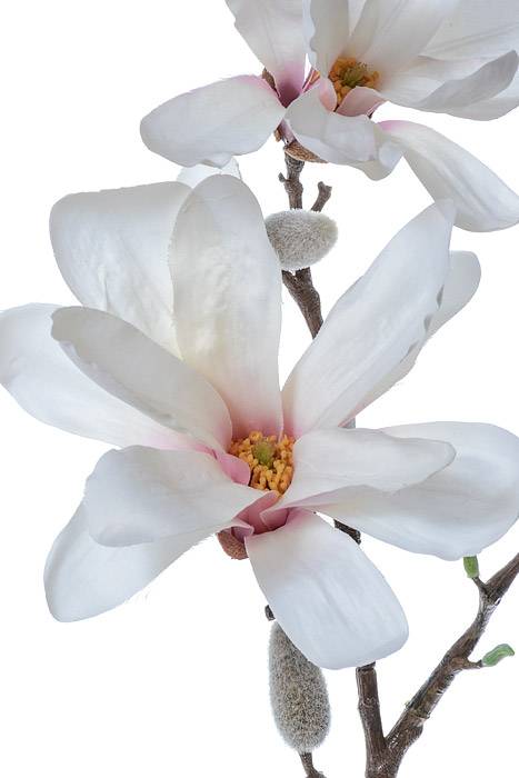 24" Silk Magnolia Spray White/Pink - Image 2