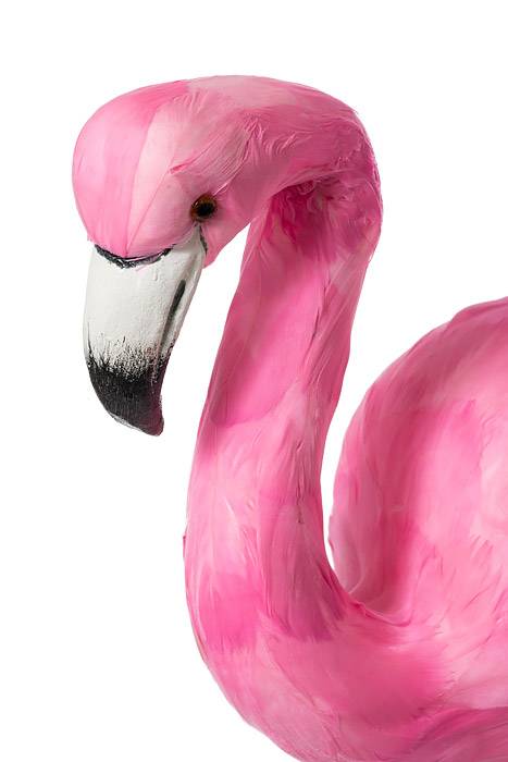 24" Standing Flamingo Pink - Image 2