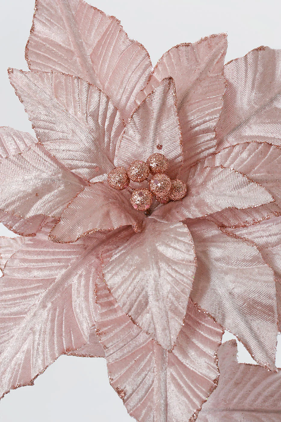 24" Velvet Poinsettia With Glitter Edge Stem blush - Image 2