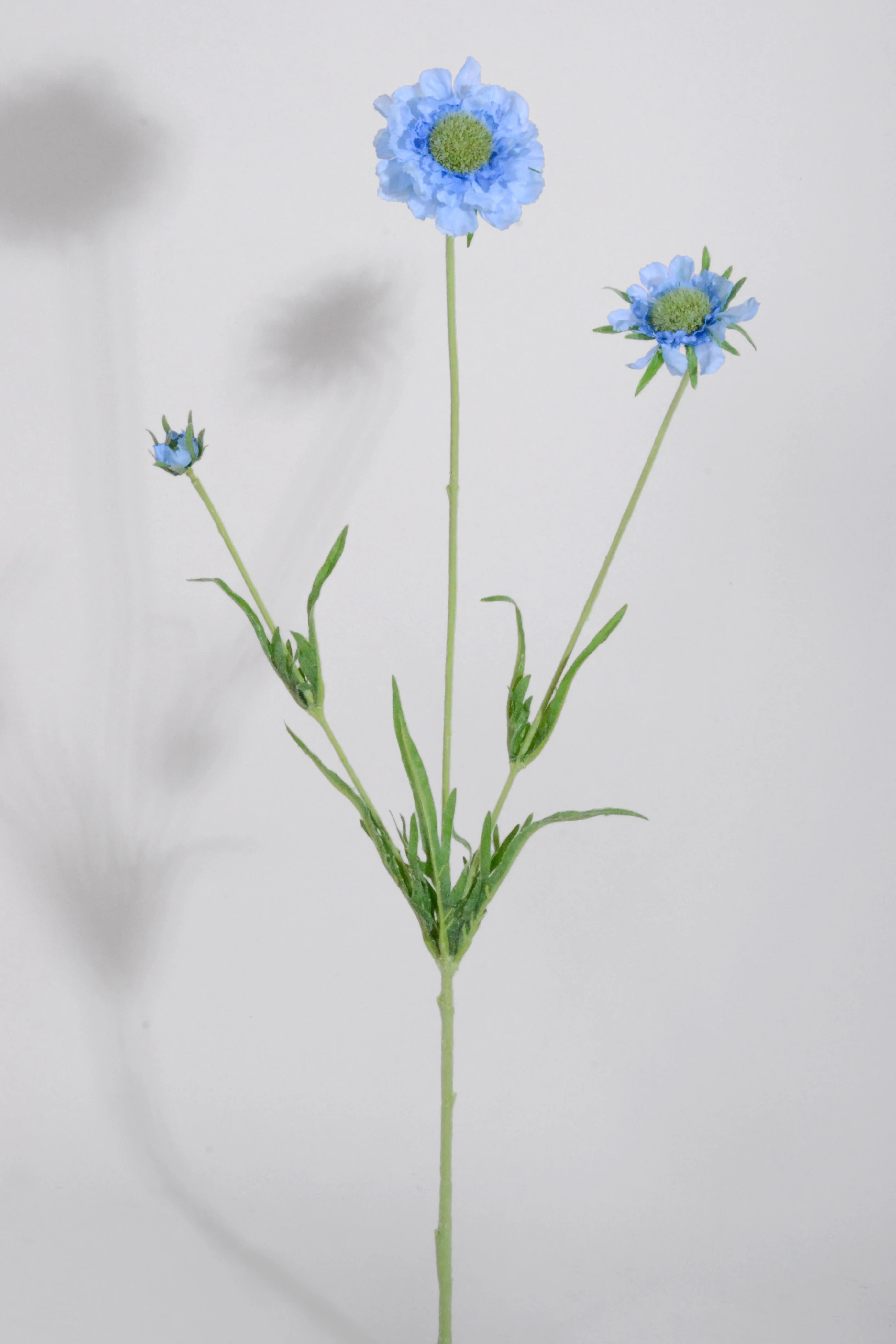 25.25" Silk Scabiosa Spray Blue