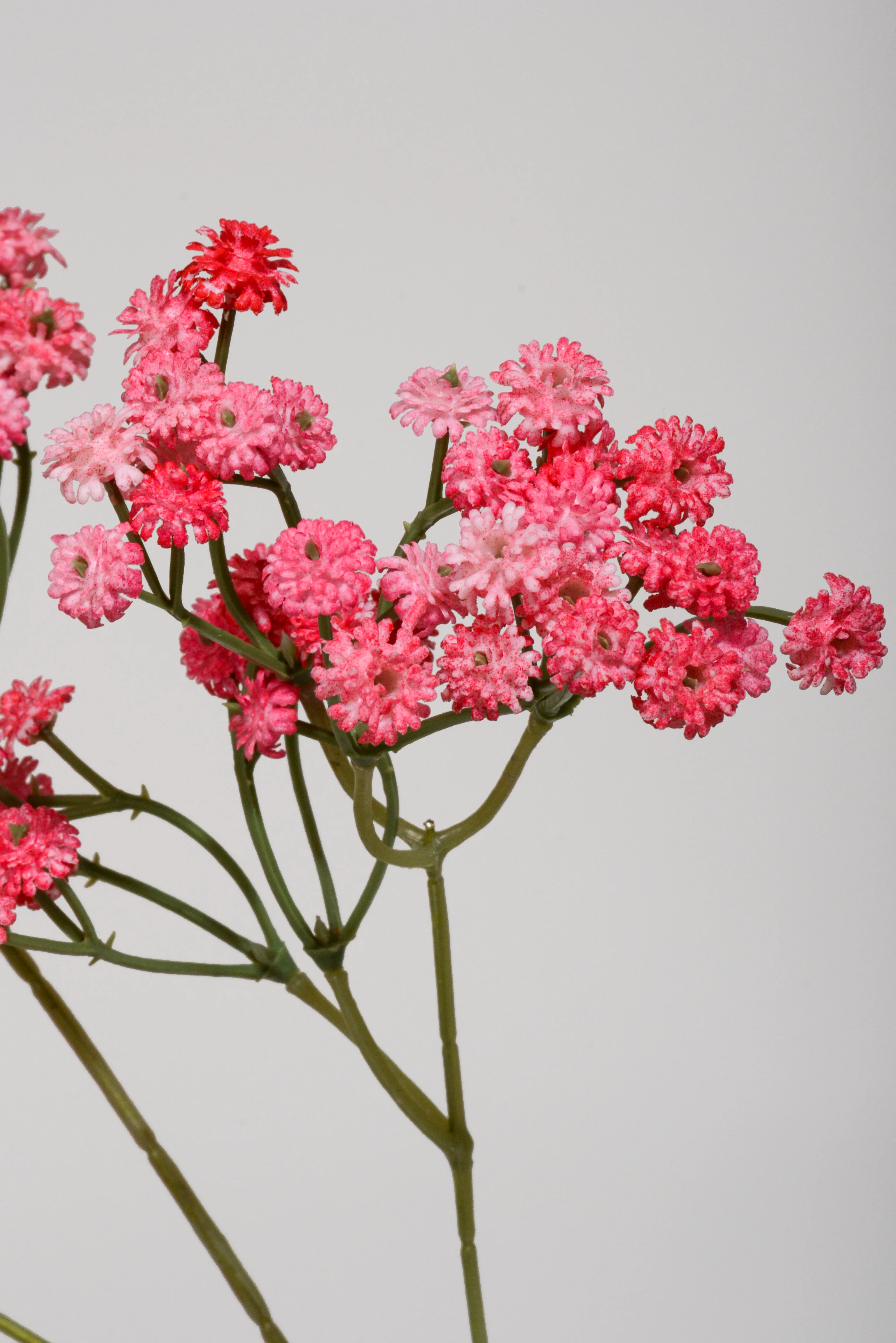 25.5" Artificial Baby's Breath Spray Hot Pink - Image 2