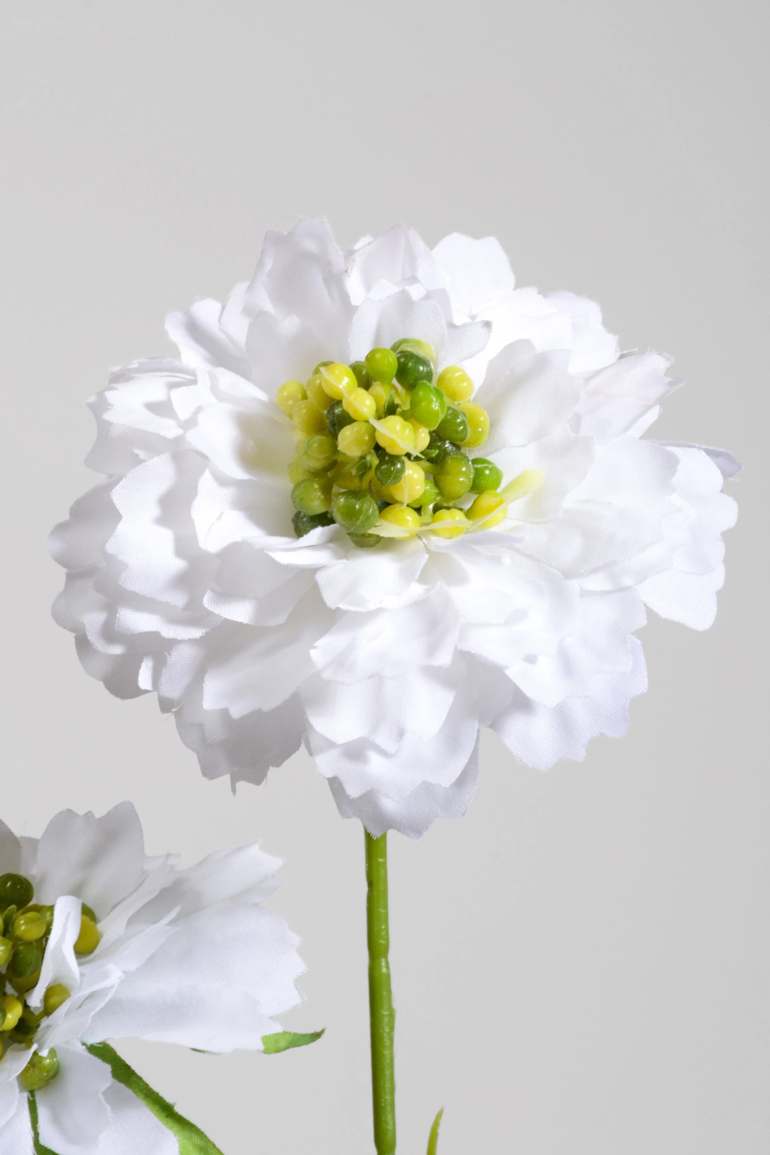 25.5" Silk Aster Spray White - Image 2