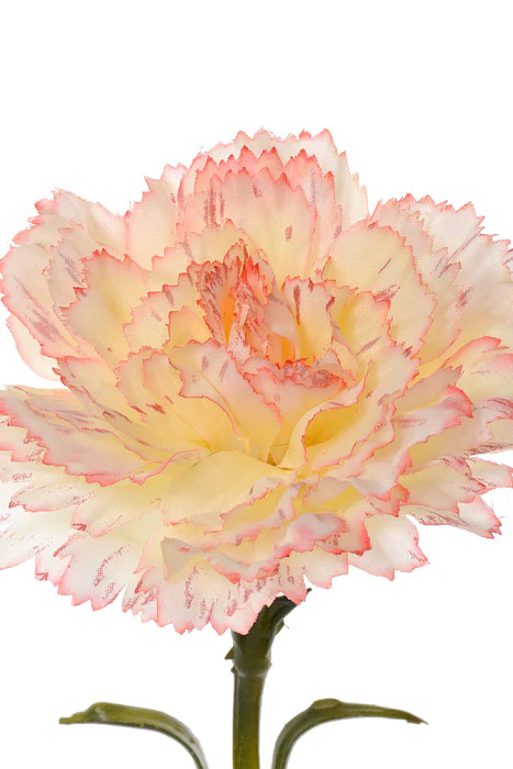 25.5" Silk Carnation Spray Blush - Image 2