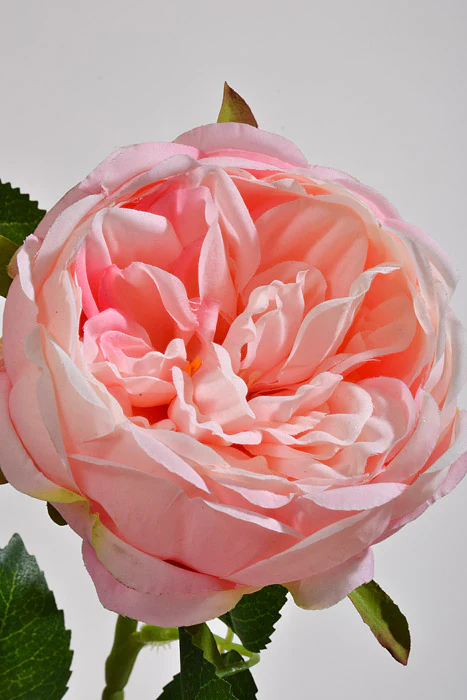 25.5" Silk Rose Spray Pink - Image 2