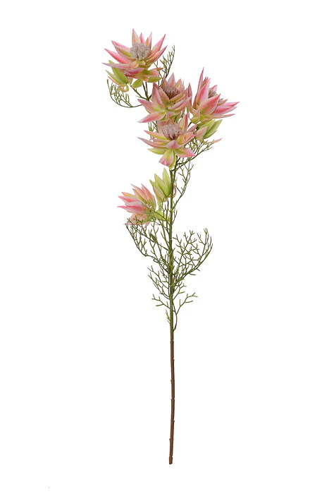 25.5" Silk Serruria Florida Spray Pink