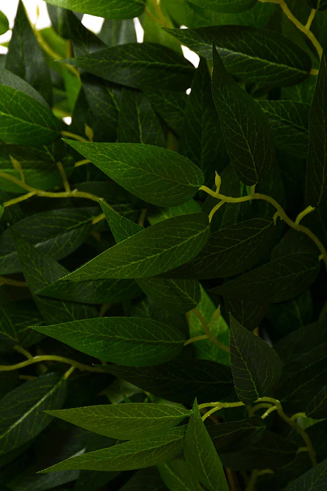 25.5" Smylax Leaf Bush Green - Image 2
