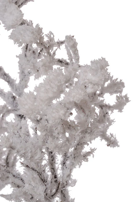 25.5" Snowed Branch White - Image 2