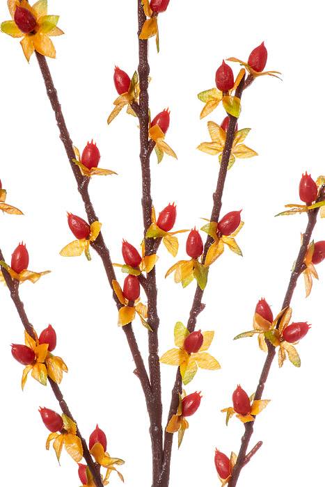 25" Bittersweet Yellow/red - Image 2