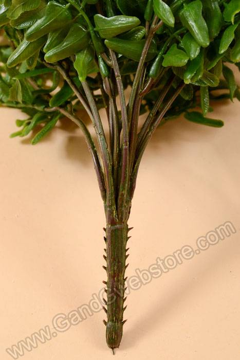 25" Buckler Fern Bush Green - Image 3