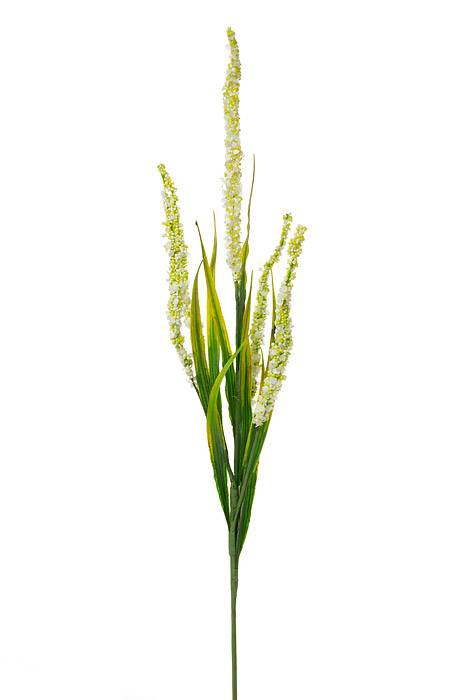 25" Foxtail Spray Cream