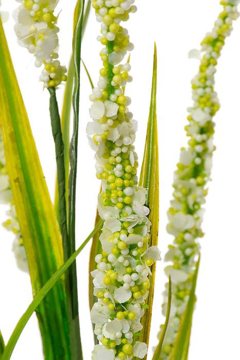 25" Foxtail Spray Cream - Image 2