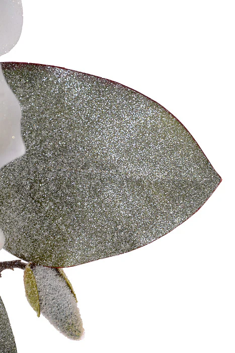 25" Glitter Magnolia Berry Spray White - Image 3