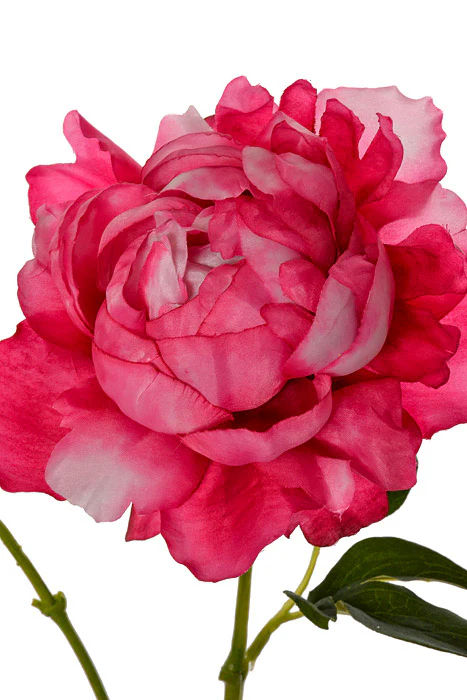 25" Silk Peony Spray Hot Pink - Image 2