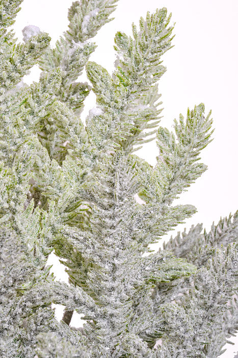 25" Snow Juniper Pine With Pot White/Green - Image 2