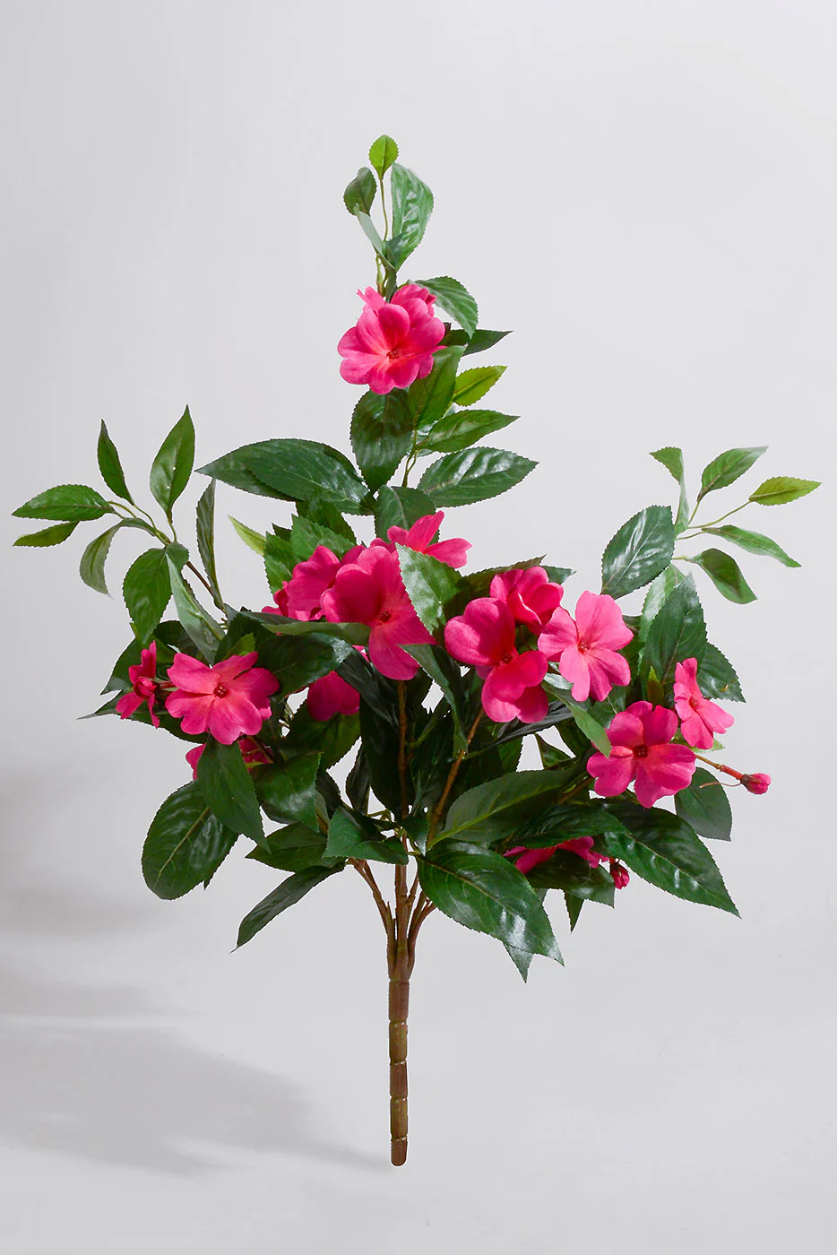 25'' UV Impatiens Hanging Bush Cerise/Green