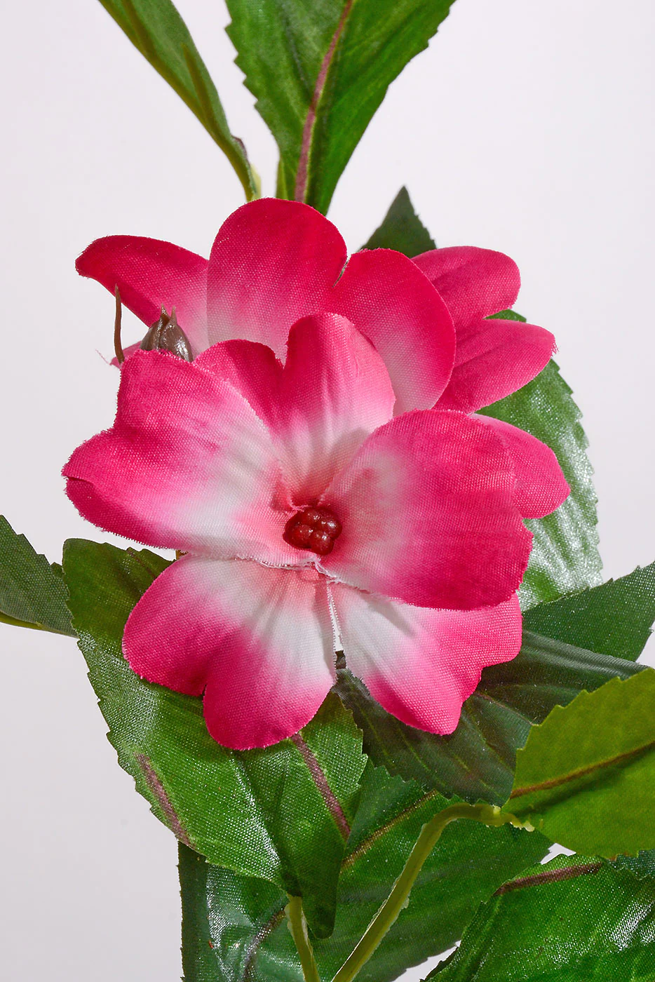 25'' UV Impatiens Hanging Bush Pink/White/Green - Image 2
