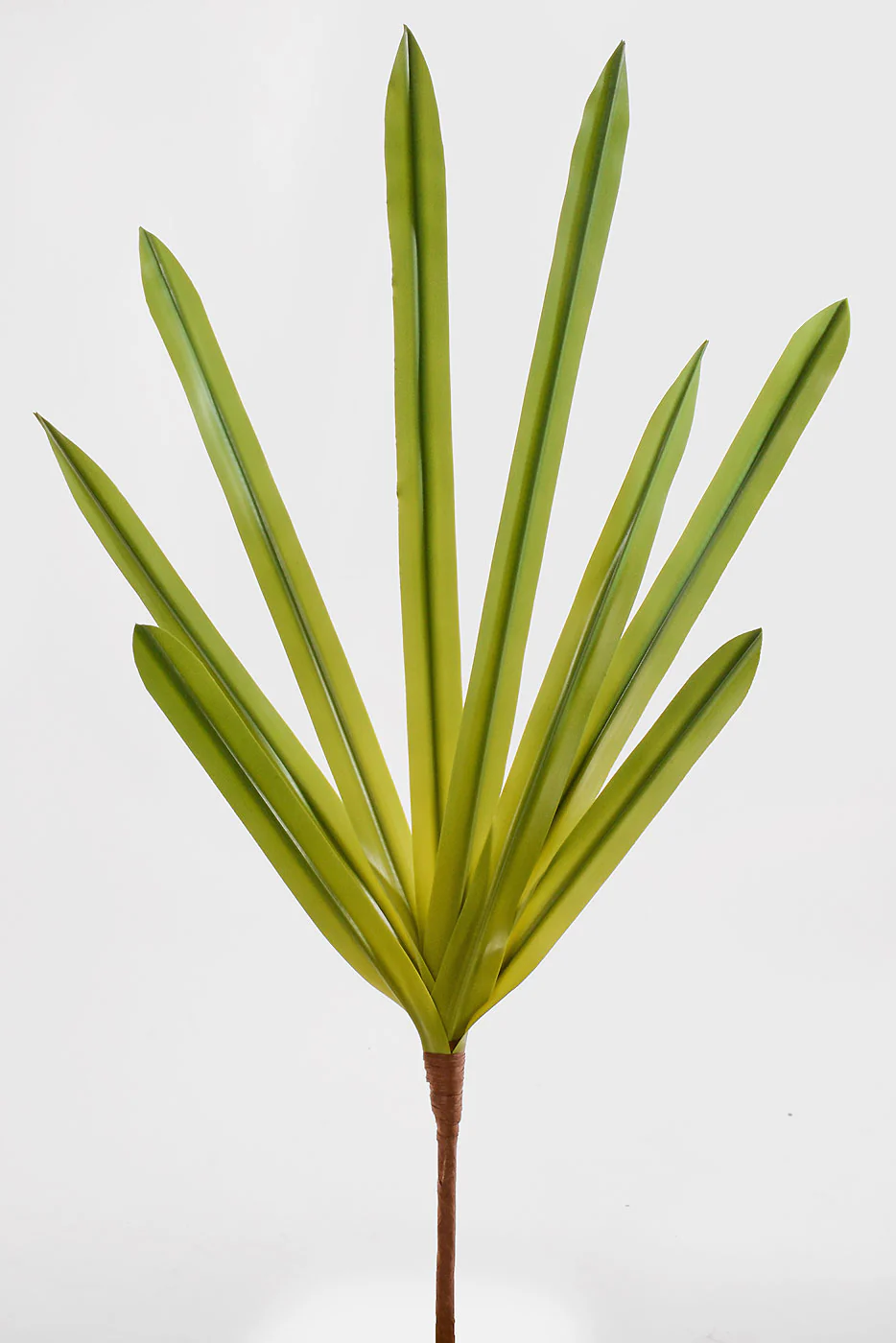26.5'' Cymbidium Leaf Plant Green