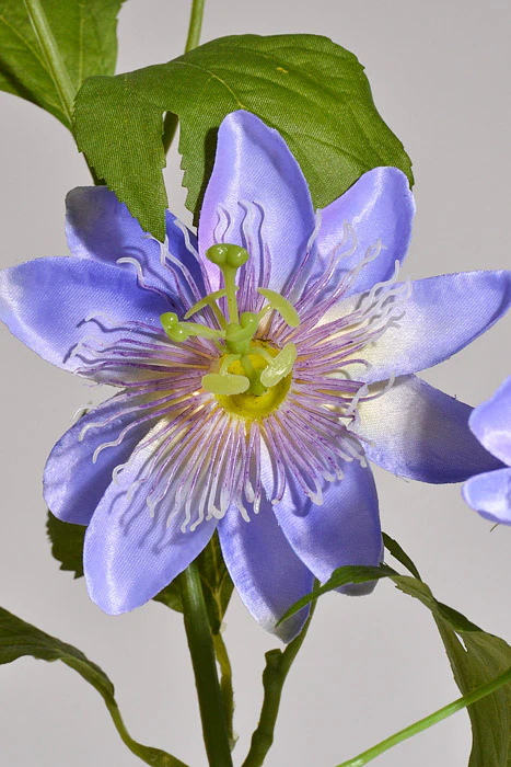 26.5" Silk Clematis Spray Lavender - Image 2