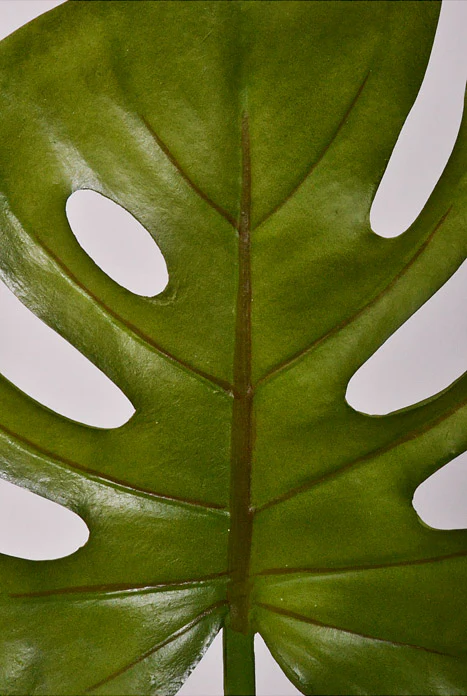 26" Artificial Philo Leaf Spray Green - Image 2