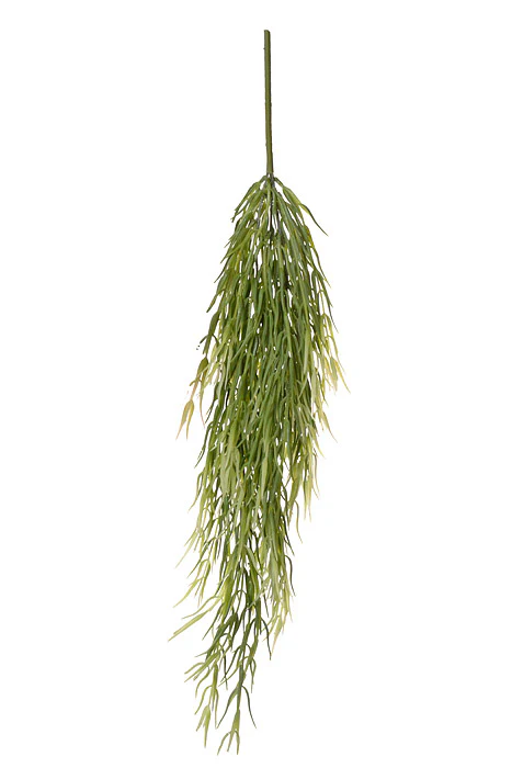 26" Cactus Hanging Bush Green