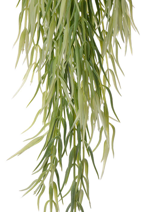 26" Cactus Hanging Bush Green - Image 2