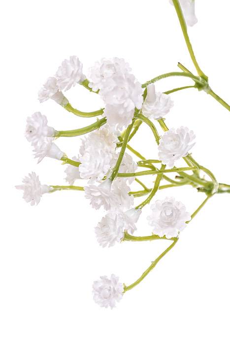 26" Gypsophila Spray White Pkg/3 - Image 3