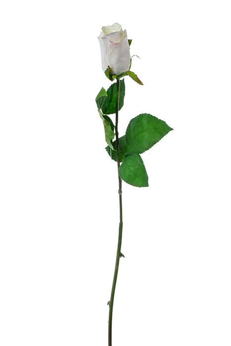 26" Rose Stem Cream