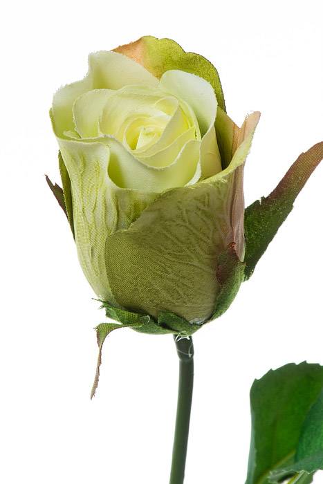 26" Rose Stem Green - Image 2