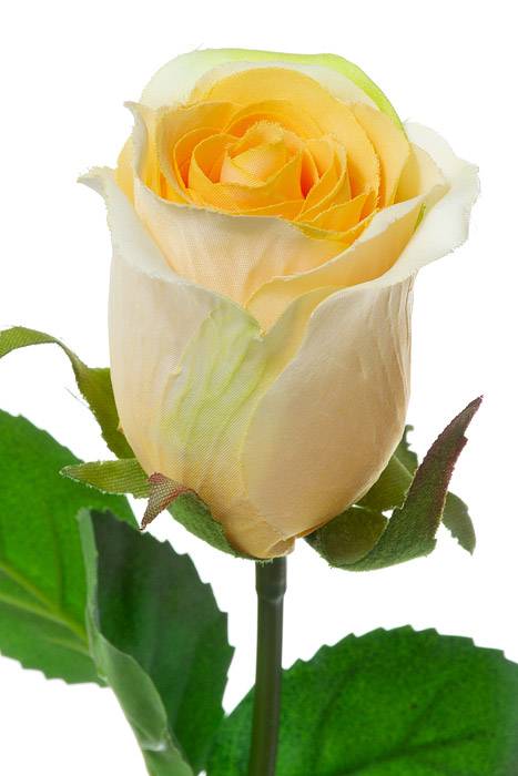 26" Rose Stem Yellow - Image 2
