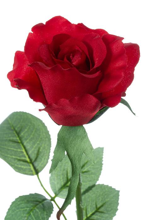 26" Silk Half Open Rose Spray Red Pkg/12 - Image 2