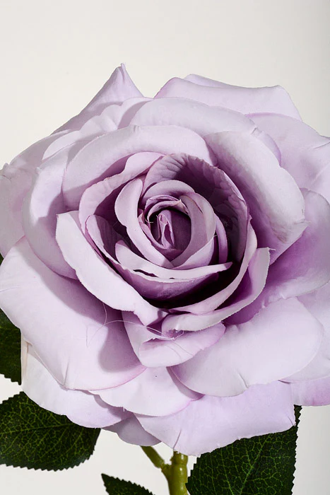 26" Silk Rose Spray Lavender - Image 2