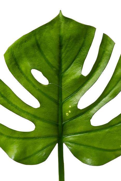 26" Split Philo Leaf Spray Green - Image 2