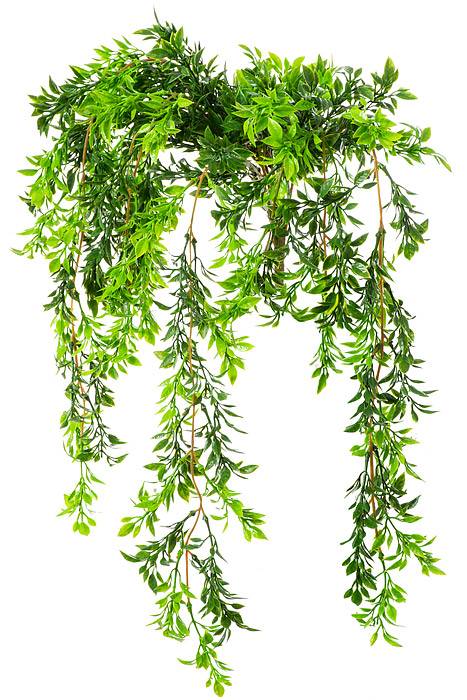 26" Tea Leaf Vine Green