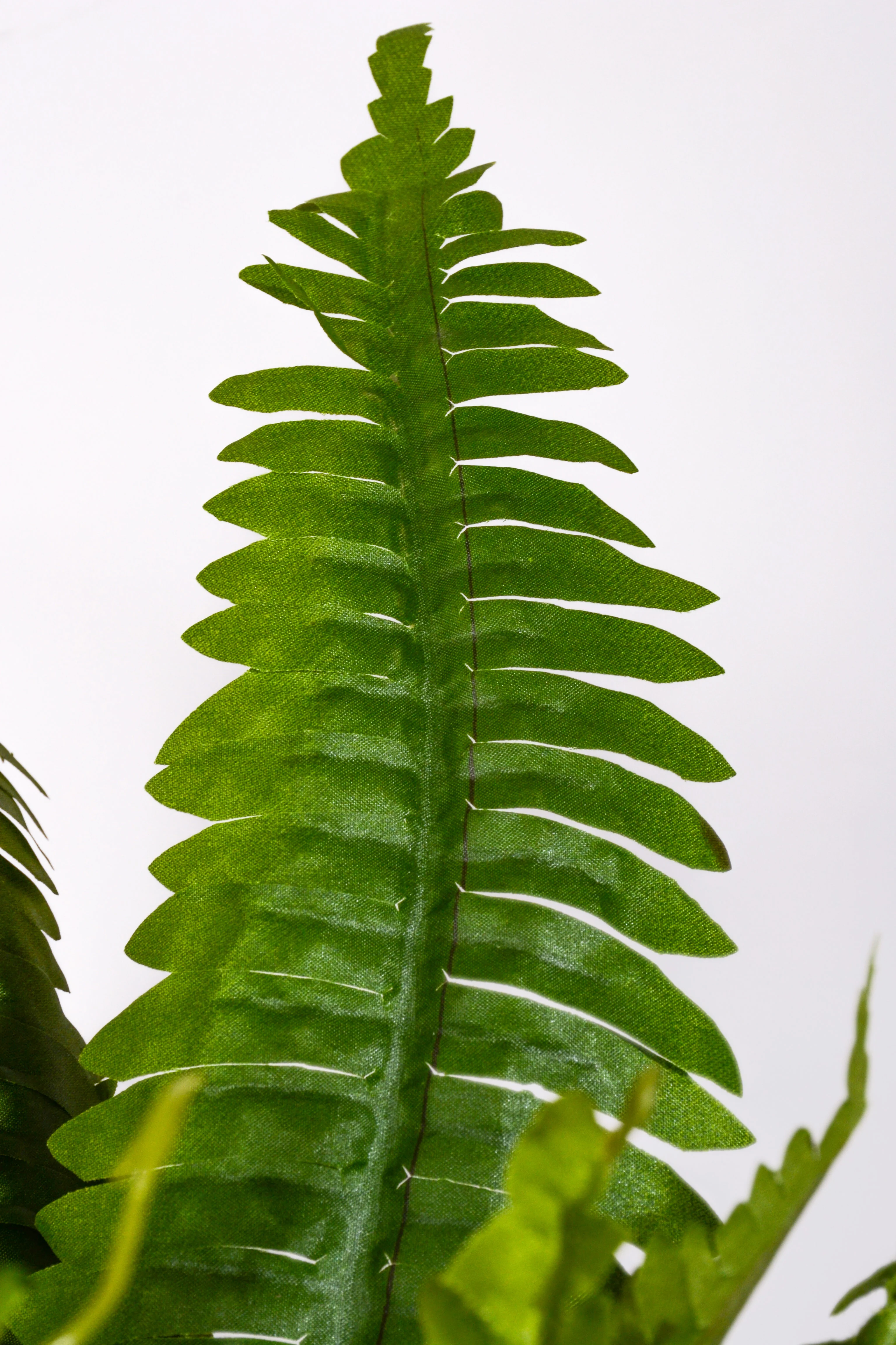 26" Uv Artificial Estate Boston Fern Two Tone Green - Image 2