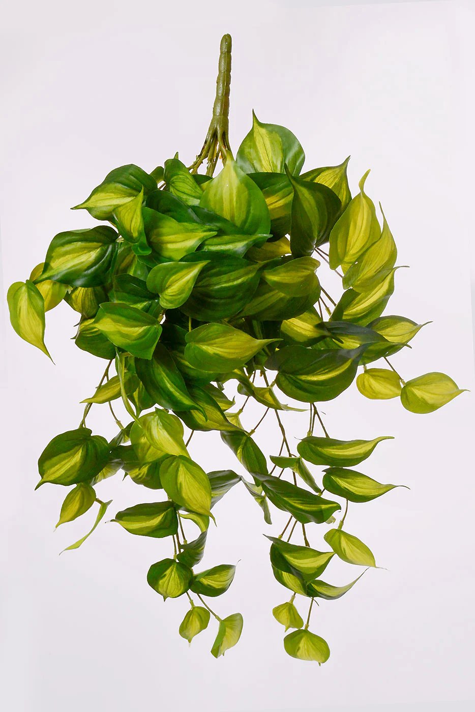 26'' UV Philo Hanging Bush Two Tone/Green