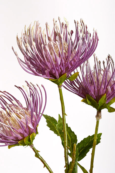 27" Artificial Leucospermum Spray Lavender - Image 2