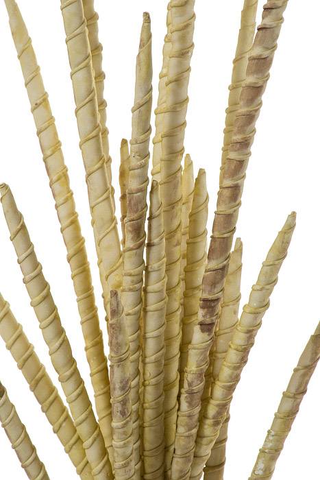 27" Foam Bamboo Willow Bush Beige - Image 2