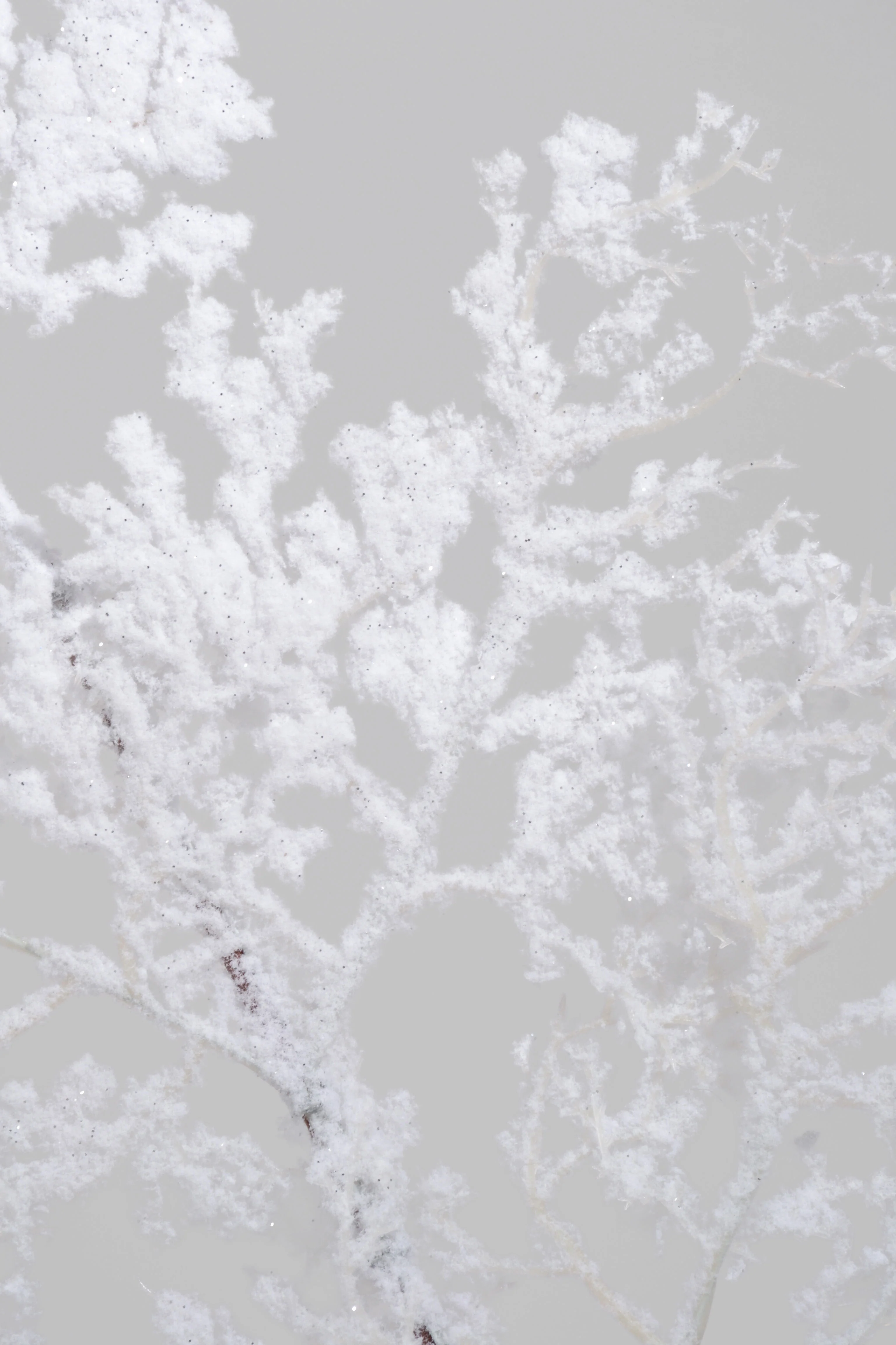 27'' Frosted Cedar Spray White - Image 2