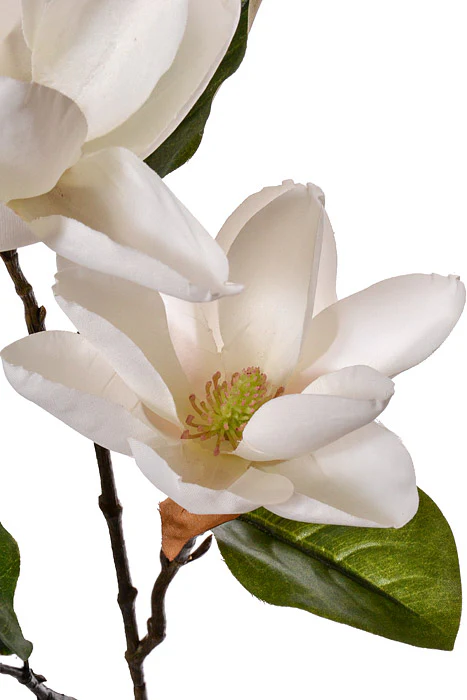 27" Silk Magnolia Spray White - Image 2