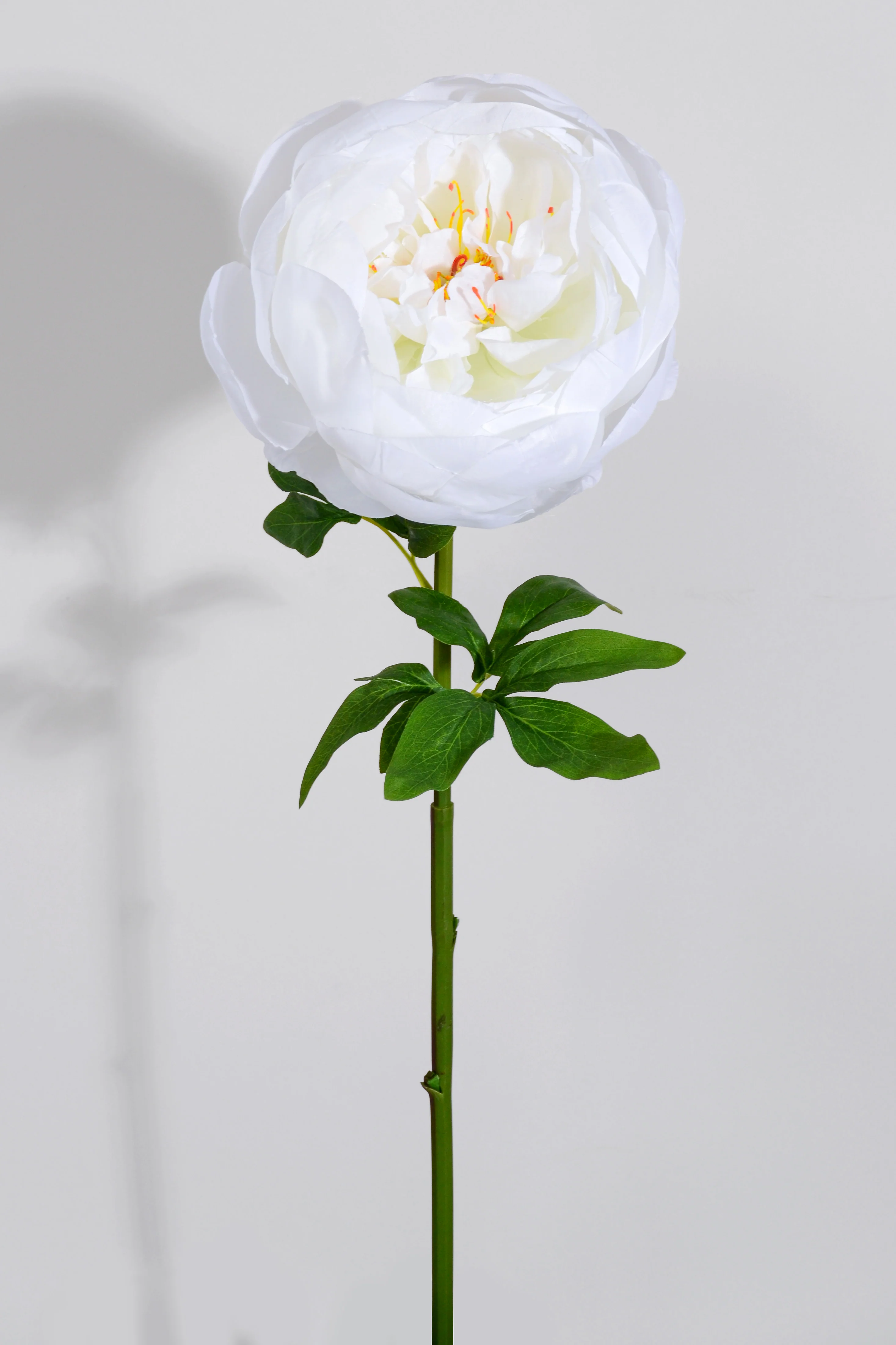 27' Silk Peony Spray White